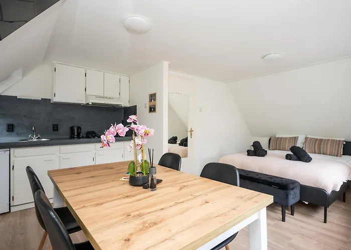 Theislandlife 10p Centrum Texel Holiday home *