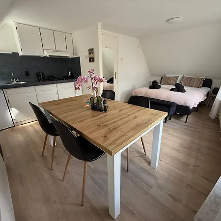 Feriehus Theislandlife 10p Centrum Texel *
